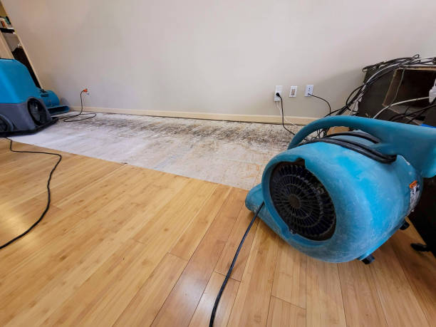 Professional Water Damage Repair technician working in Manchester, VA